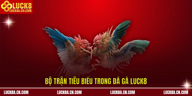 Bộ trận tiêu biểu trong Đá Gà LUCK8