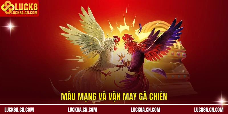 Màu mạng và vận may gà chiến