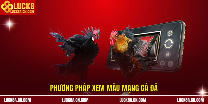 Phương pháp xem màu mạng gà đá