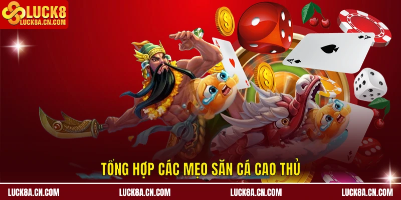 Tổng hợp các mẹo săn cá cao thủ